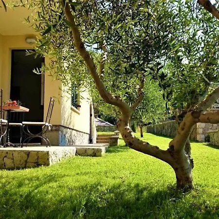 Πανσιόν Garden